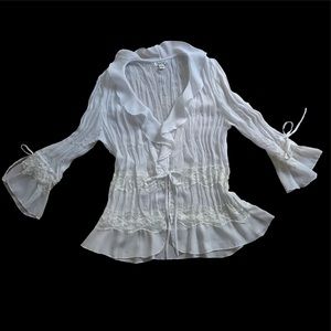Jaipur White Sheer Blouse